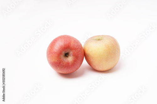 Two fresh McIntosh Apples - isolated white background - "Malus domestica"