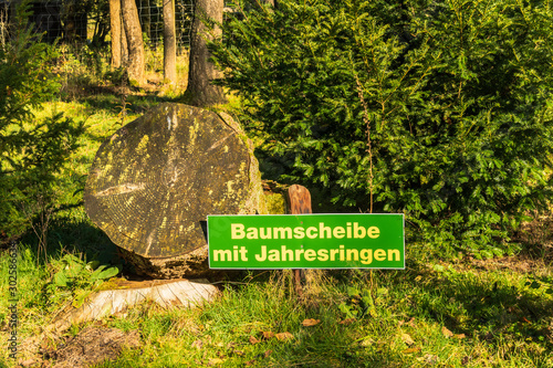 Greifvogelstation und Wildfreigehege Hellental photo