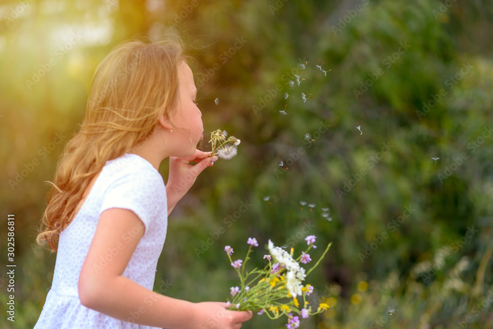 Beautiful little girl blowing dandelion. Portrait adorable little kid outdoor. Summer or Autumn. Harvest. Shavuot. Beautiful little girl blowing dandelion. Portrait adorable little kid outdoor. Summer or Autumn. Harvest. Shavuot.