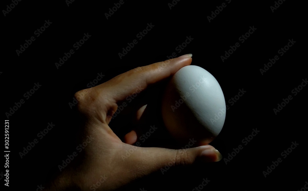Photo of a hand holding an egg, the photo is isolated and has black black background. Photo of a hand holding an egg, the photo is isolated and has black black background.