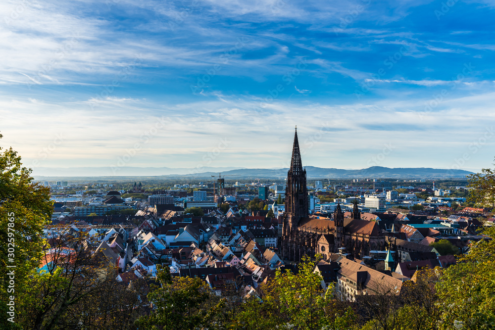 Germany, Beautiful baden city freiburg im breisgau skyline with houses surrounding ancient muenster cathedral building in beautiful colorful autumn light - obrazy, fototapety, plakaty 