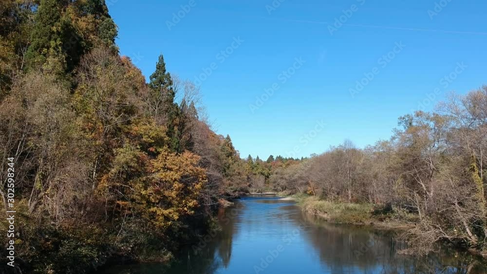 空撮　秋の紅葉　川の流れ　秋田県　自然風景