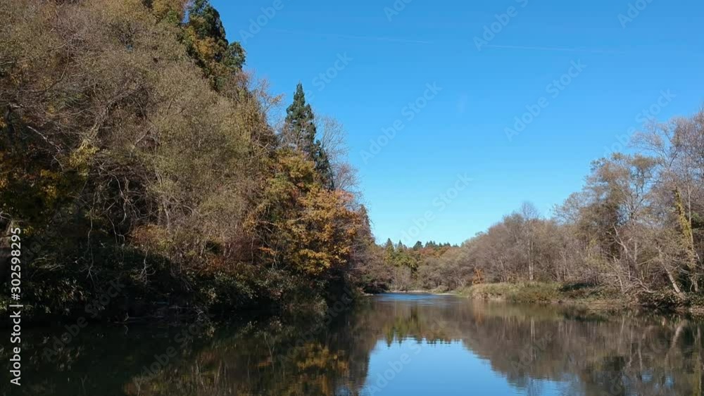 空撮 秋の紅葉 川の流れ 秋田県 自然風景 空撮 秋の紅葉 川の流れ 秋田県 自然風景
