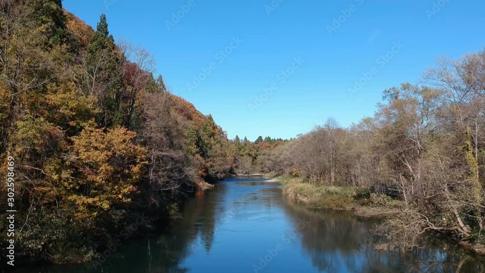 空撮　秋の紅葉　川の流れ　秋田県　自然風景