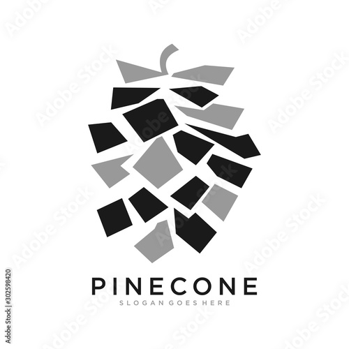 Pinecone icon, vector illustration design. Christmas collection.