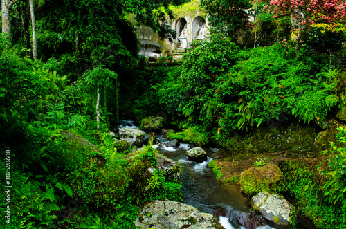 The hidden place, Pakerisan river, Bali, Indonesia