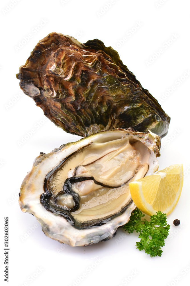 Oysters on a white background with lemon Oysters on a white background with lemon