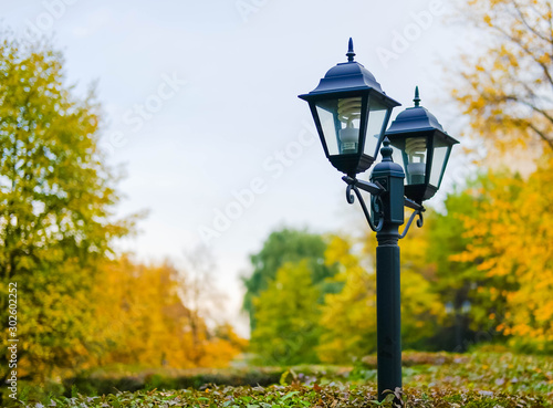 Black street lamp on a background of autumn trees