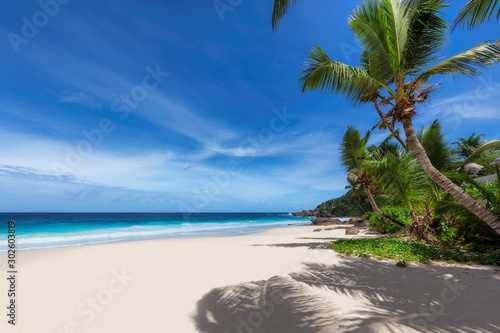 Coconut palm trees on tropical sunny beach and turquoise sea in Paradise island. Summer vacation and tropical beach concept.