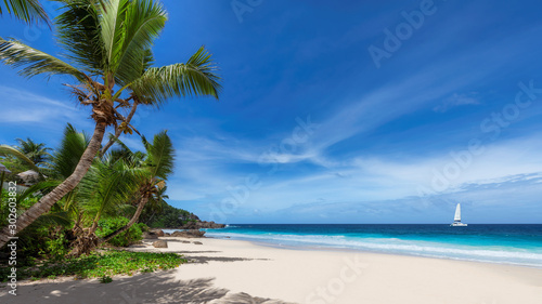 Sandy beach with palm trees and a sailing boat in the turquoise sea on Paradise island. 