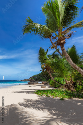 Fototapeta Naklejka Na Ścianę i Meble -  Sunny beach with palm trees and a sailing boat in the tropical sea