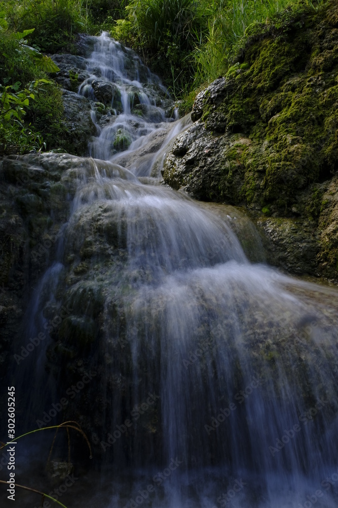 Fototapeta premium waterfall in forest