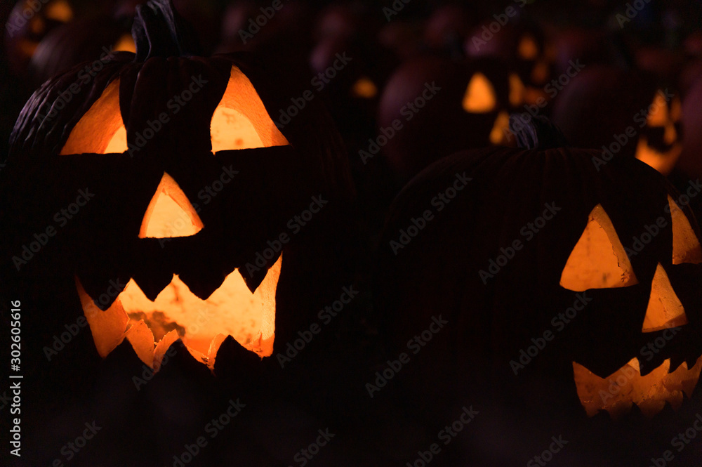 A dark field of illuminated pumpkins during Halloween festivities, in the middle of the night A dark field of illuminated pumpkins during Halloween festivities, in the middle of the night