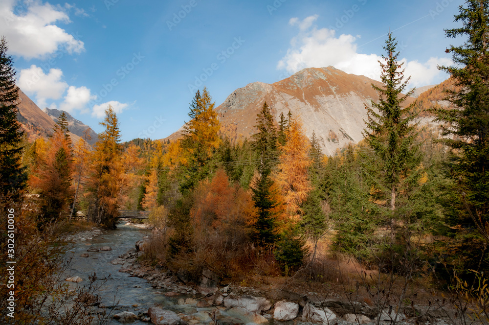 Creek in Tirolean Aplps in Austria Creek in Tirolean Aplps in Austria