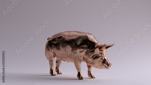 Bronze Pig 3 Quarter Right View 3d illustration 3d render