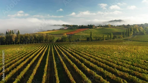 Aerial view of a rural landscape during sunrise in Tuscany. Rural farm, vineyards, green fields, sunlight and fog. Italy, Europe.