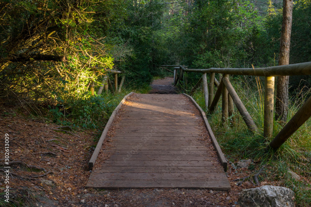 Obraz premium Nacimiento del río Cuervo