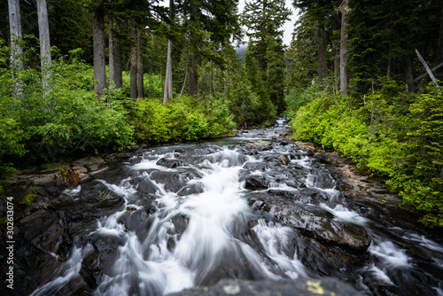 Narada Falls in Mount Rainier National Park  Washington  United States.