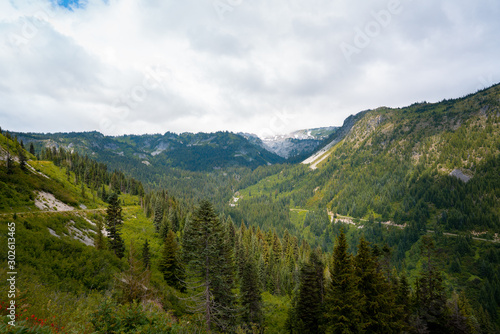 Fototapeta Naklejka Na Ścianę i Meble -  Panoramic view of cypress forest landscape. blue sky and clouds, Washington, United States.