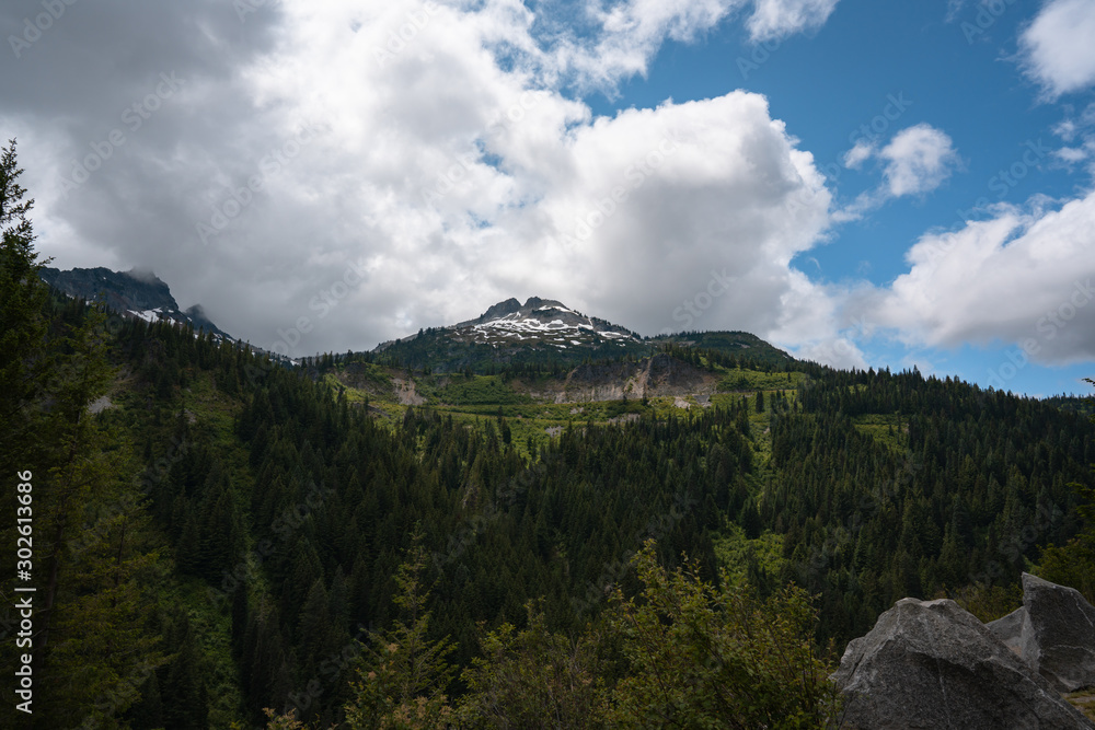 Unicorn Peak, cypress forest, blue sky and clouds. Washington, United States.