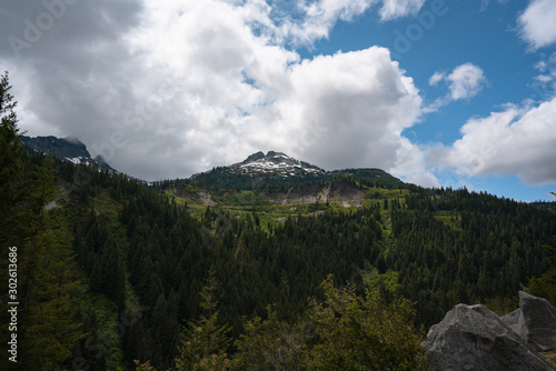 Unicorn Peak  cypress forest  blue sky and clouds. Washington  United States.