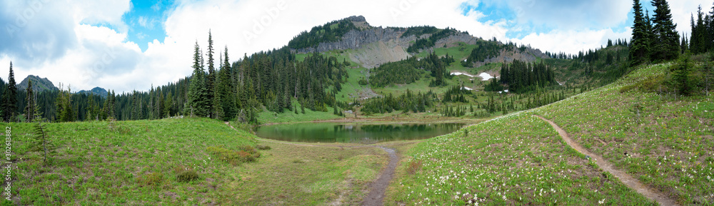 Fototapeta premium Panoramic view on mountain lake and cypress forest, Little Tipsoo Lake, Washington, United States.