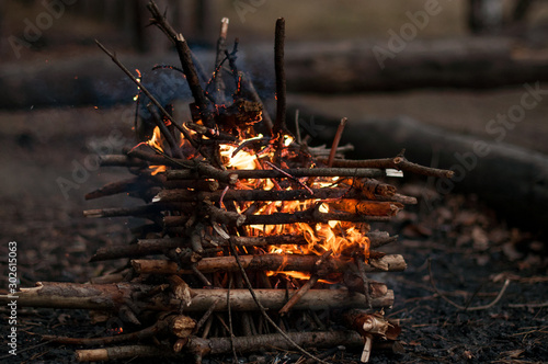 branches in the fire