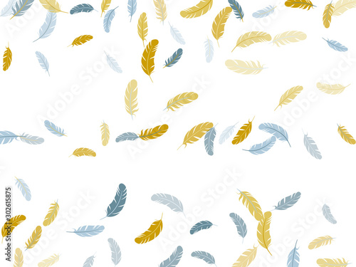 Detailed majestic feather on white design.