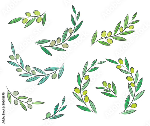 Vector olive branch set with leaves and olives