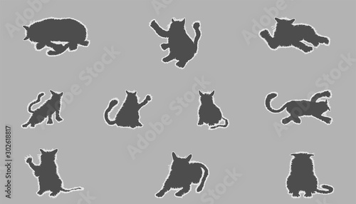 silhouette funny cat element. vector illustration eps10