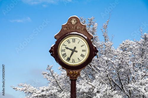 The antique Lion clock with snow coverd tree background in the winter. Big Lions Clock in Queen Elizabeth Park, British Columbia attraction. photo