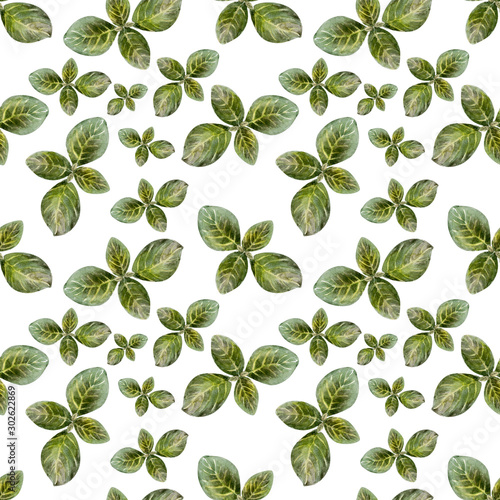 Watercolor drawing Seamless pattern with leaves, fruits and olive oil. Oil and aromatic herbs