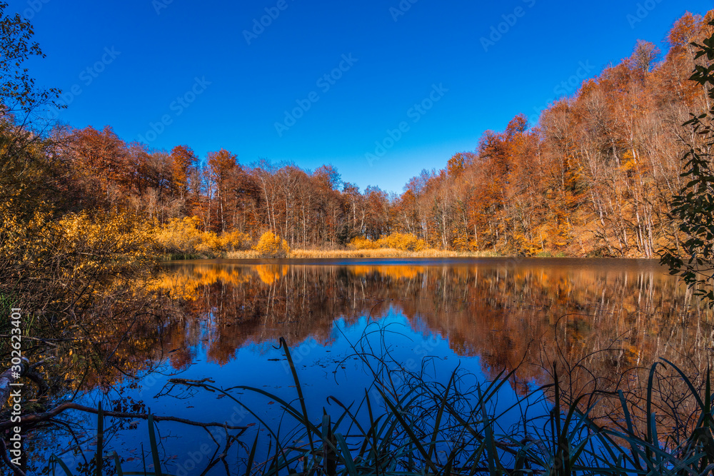 Mountain lake in the fall season