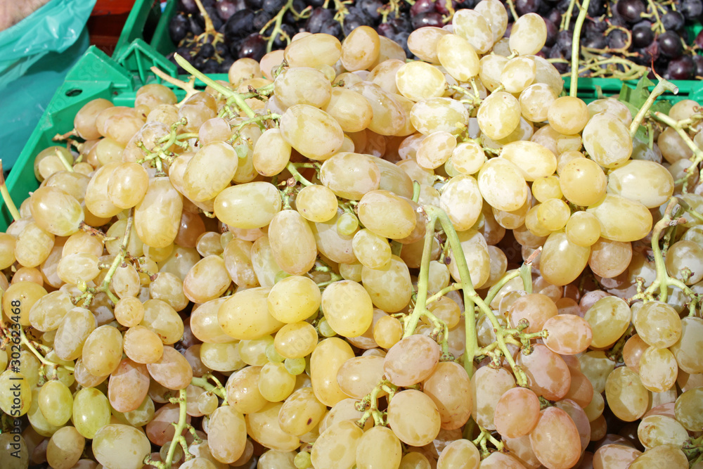 White grapes on farmer market. Fruit pattern. Grape background White grapes on farmer market. Fruit pattern. Grape background