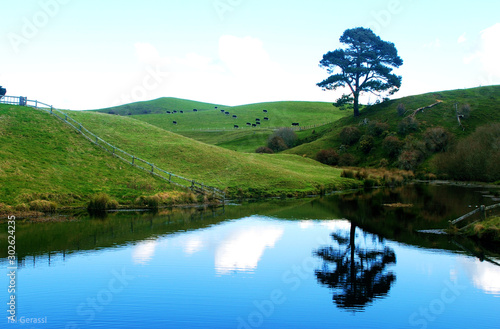 tasmania