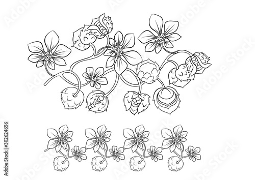 Hazelnut color illustration in art nouveau style, vintage, old, retro style. Outline hand drawing vector illustration.