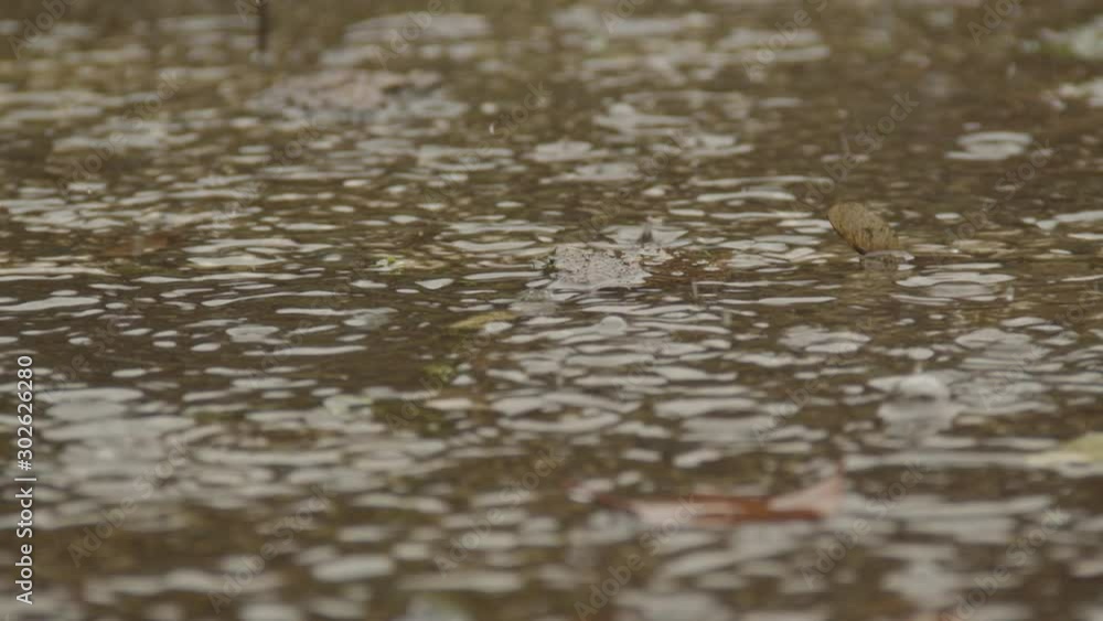 Heavy rain slowing down to small raindrops on flooded tiles Heavy rain slowing down to small raindrops on flooded tiles
