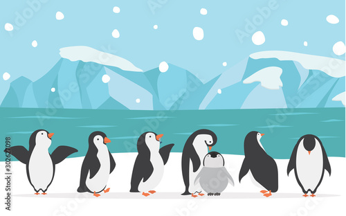 Fotografie, Obraz family penguins with North pole background vector