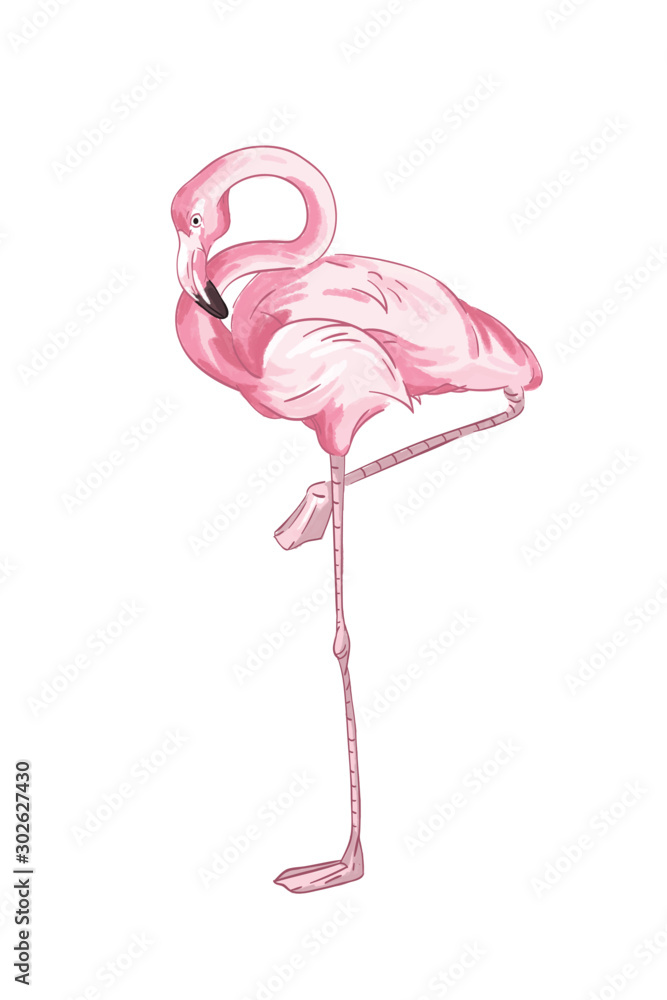 Pink flamingo vector illustration Stock Vector | Adobe Stock