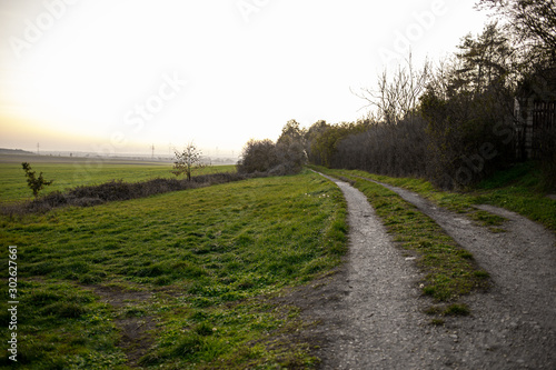 road in the countryside