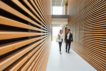 Two business people in conversation