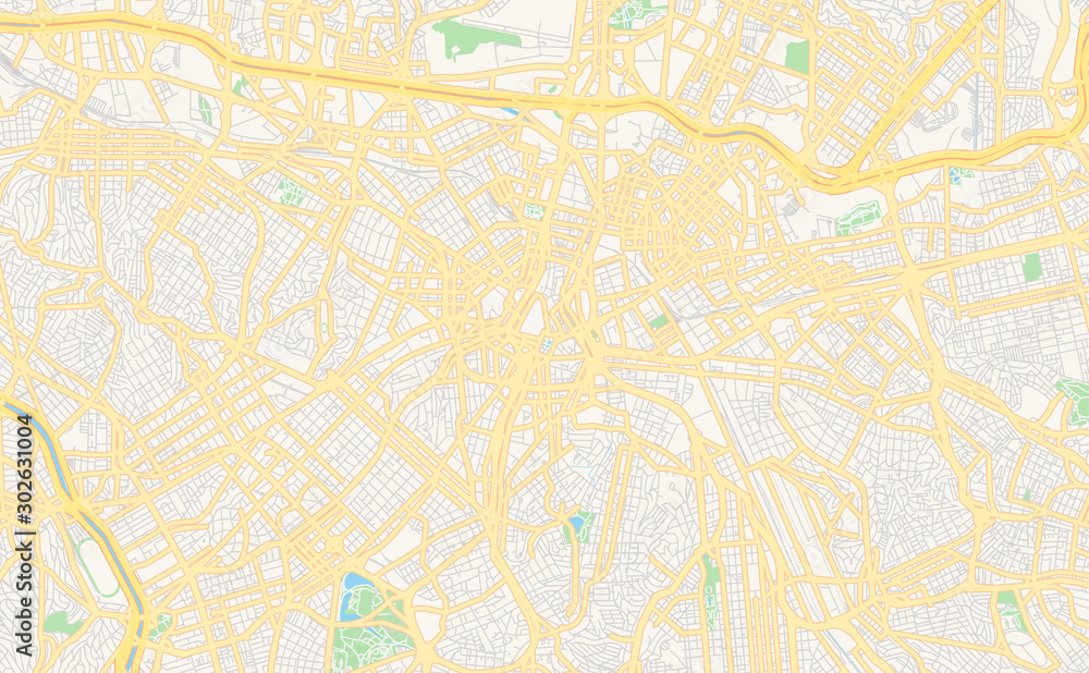 Fototapeta premium Printable street map of Sao Paulo, Brazil