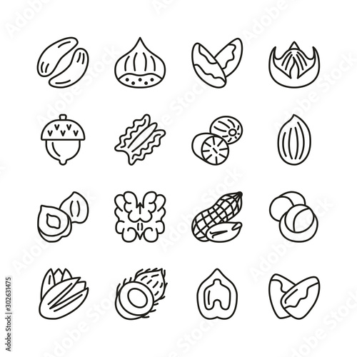 Nut flat line icon collection. Hazelnut, pecan, almond, chestnat, pistachio, walnut, peanut isolated set. 