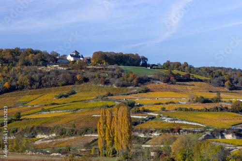 vigne saint romain