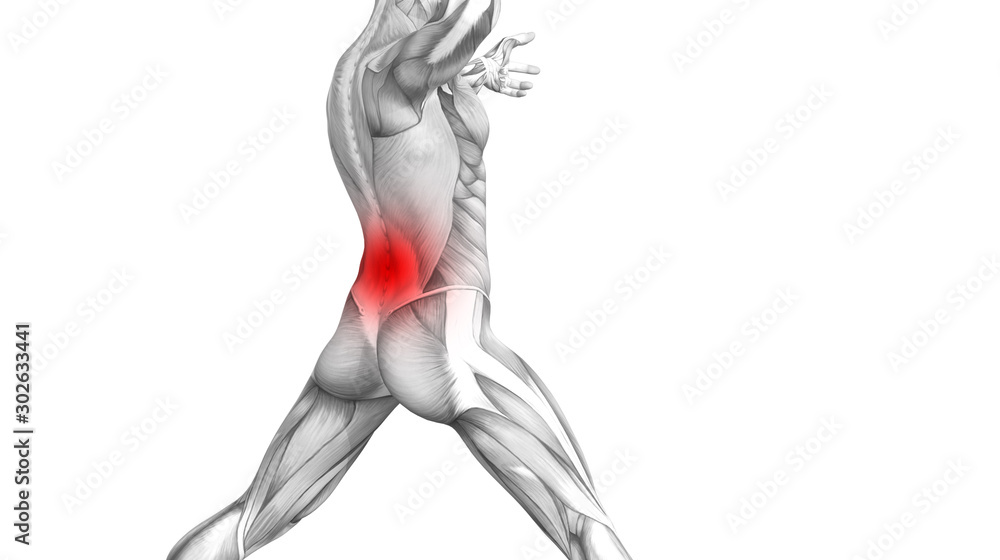 Conceptual back human anatomy with red hot spot inflammation articular joint pain or spine health care therapy or sport muscle concepts. 3D illustration man arthritis or bone sore osteoporosis disease Conceptual back human anatomy with red hot spot inflammation articular joint pain or spine health care therapy or sport muscle concepts. 3D illustration man arthritis or bone sore osteoporosis disease