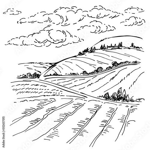Landscape ink sketch drawing. Rural mediterranean engraved landscape with plowed fields, cypresses and pine tree.Countryside landscape with hills, fields, trees.