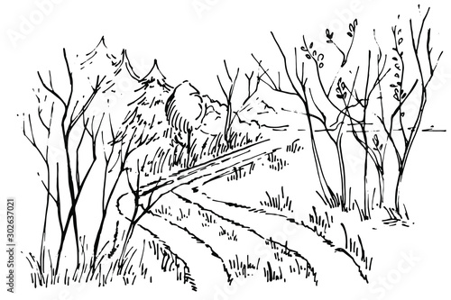 Sketch path in the forest. Hand drawn Ink foggy forest road. Road in countryside, Hand drawn landscape