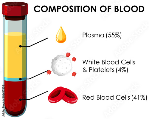 Diagram showing composition of blood