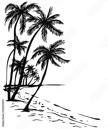 Summer beach with palm trees  hand drawn Sketch illustration of palm trees and sea view