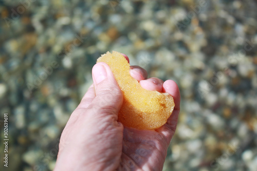 Sea sponge in the hand in sea water on the beach background. 